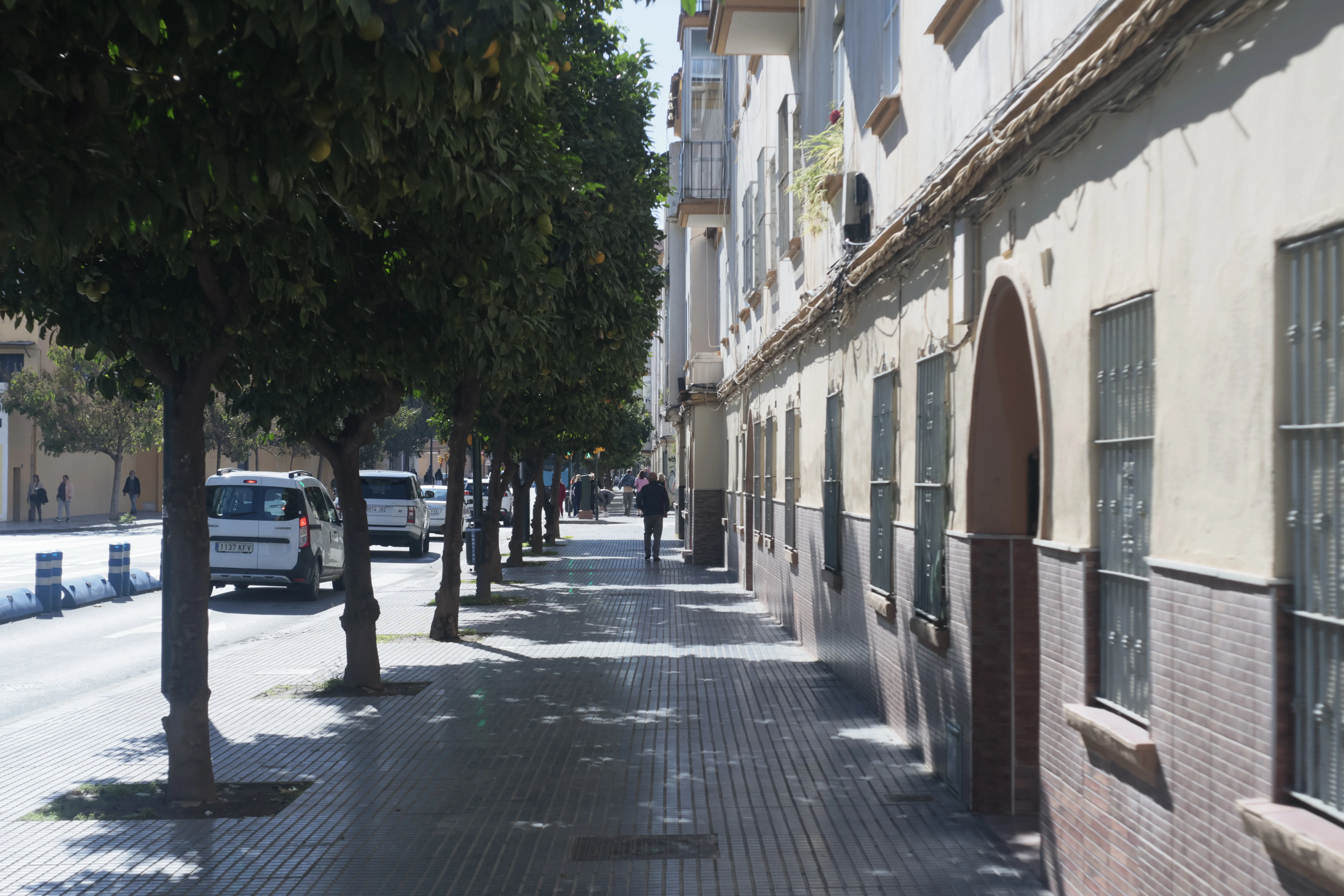 Meyer-Optik Görlitz Primagon 35mm f4.5 (M42) - _I4A1002.webp